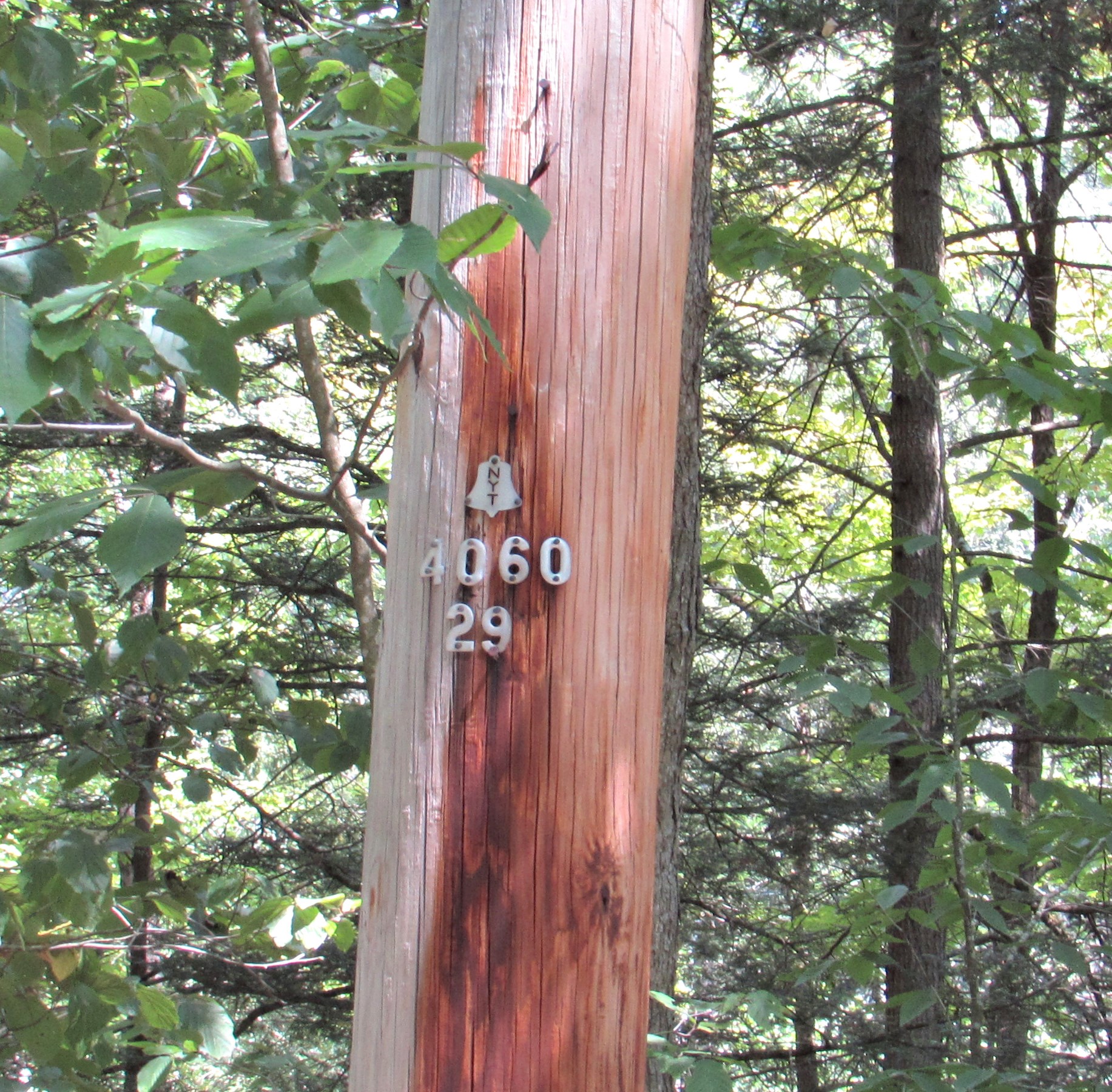 00 Sackett Creek Road - Photo 3