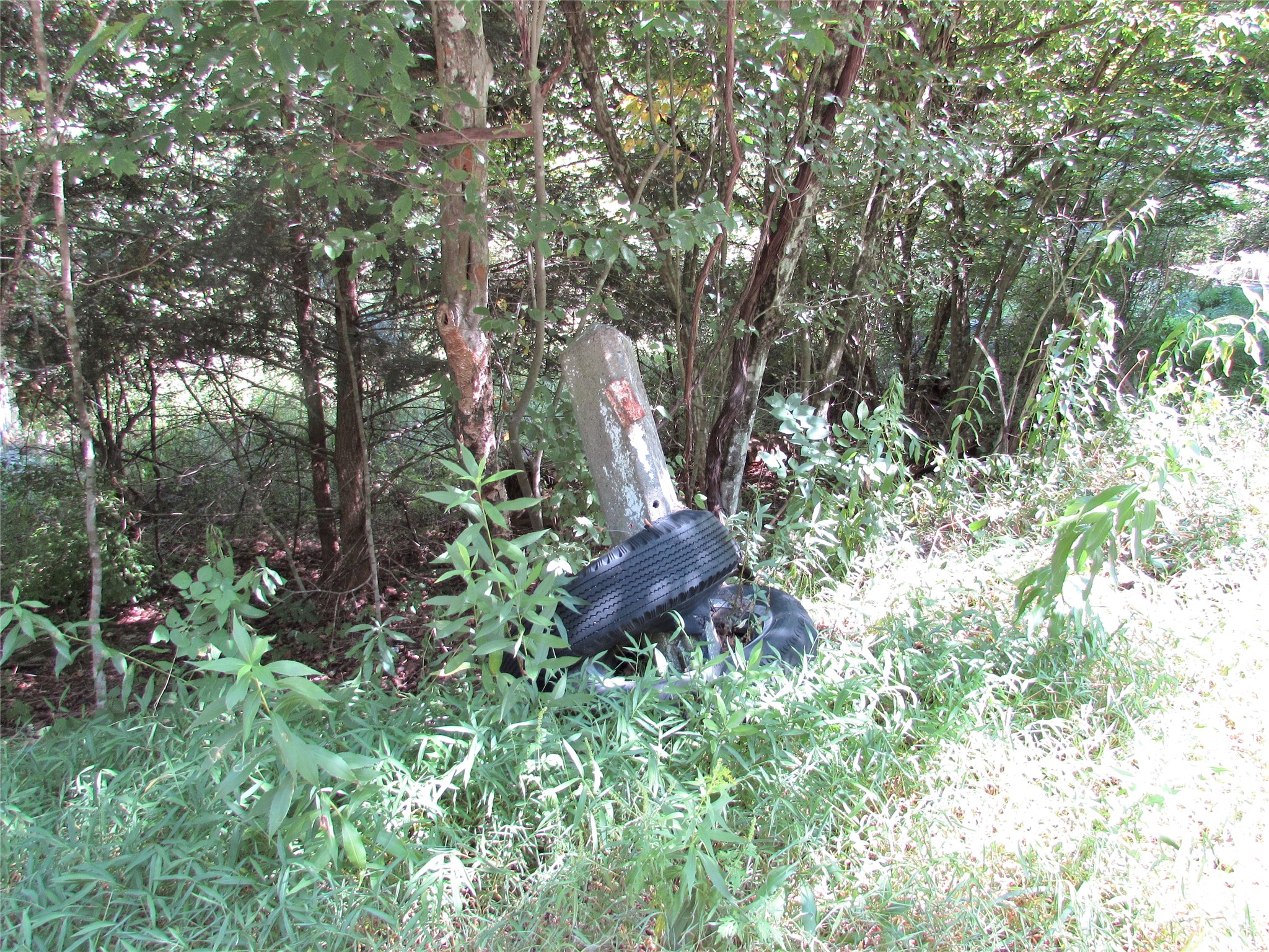 00 Sackett Creek Road - Photo 2
