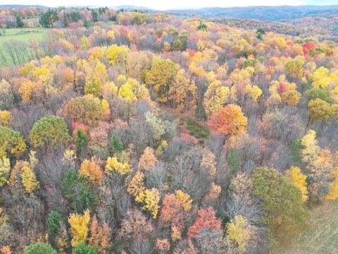 Vacant Land For Sale - S State Route 167 Route<br/> Susquehanna County, Brackney, PA 18812