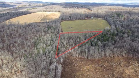 Vacant Land For Sale - 3655 Jordan Road<br/> Cincinnatus, NY 13040