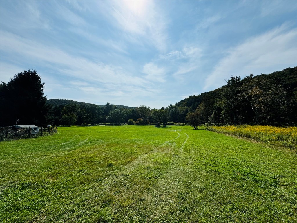 10-48 Evans Road, Hancock, New York image 2