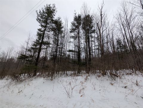 Vacant Land For Sale - 458 Mount Carmel Road<br/> Broome County, Windsor, NY 13865