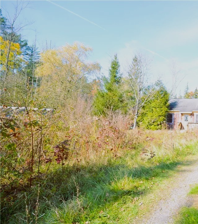 1686 Hanshaw Road, Ithaca, New York image 2