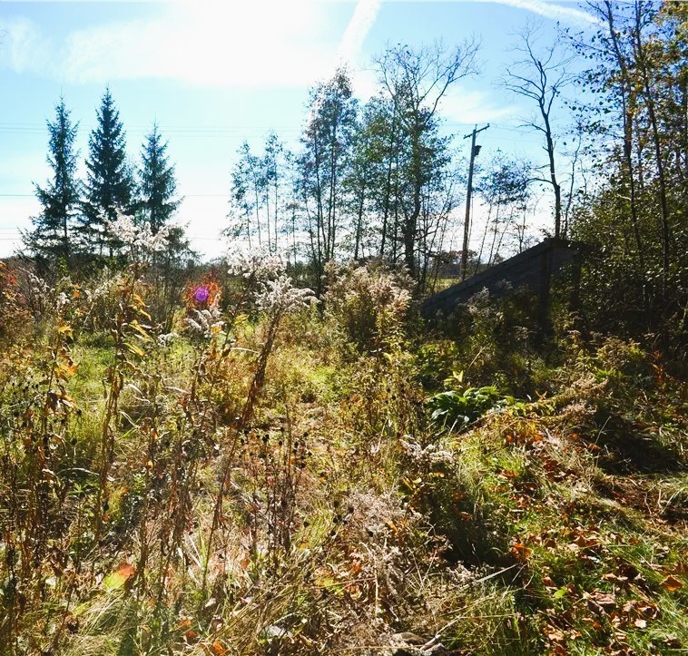 1686 Hanshaw Road, Ithaca, New York image 3