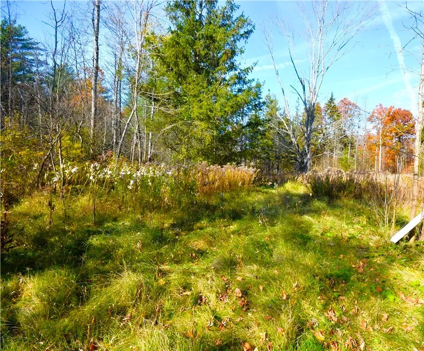 1686 Hanshaw Road, Ithaca, New York image 1