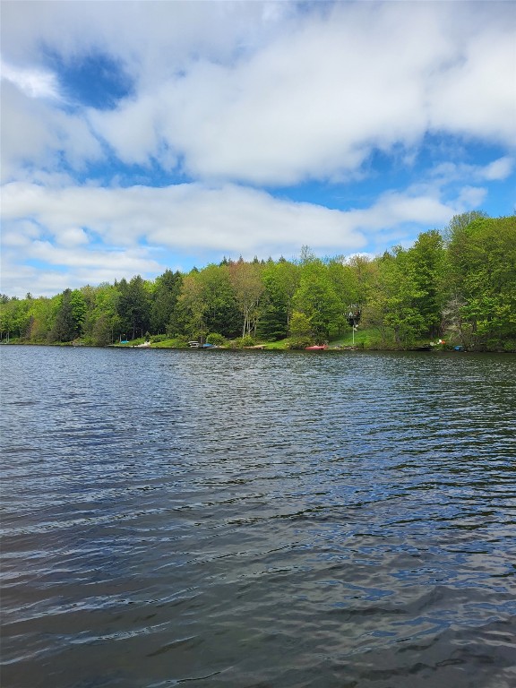 54 Mcclure Drive, Deposit, New York image 6