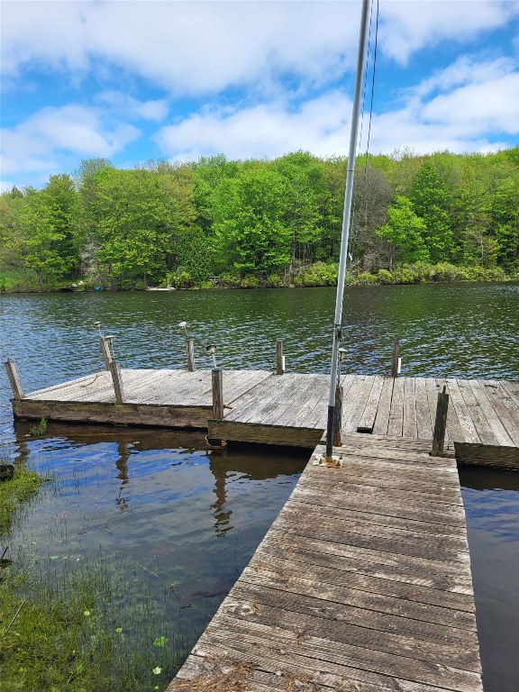54 Mcclure Drive, Deposit, New York image 7