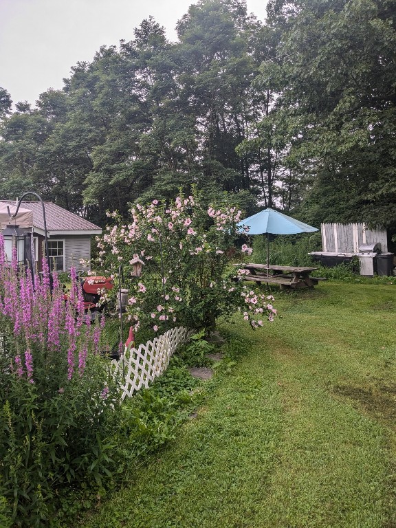 51 Paxton Lane, Candor, New York image 5