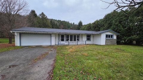 Homes For Sale - 6536 State Route 38<br/> Newark Valley, NY 13811
