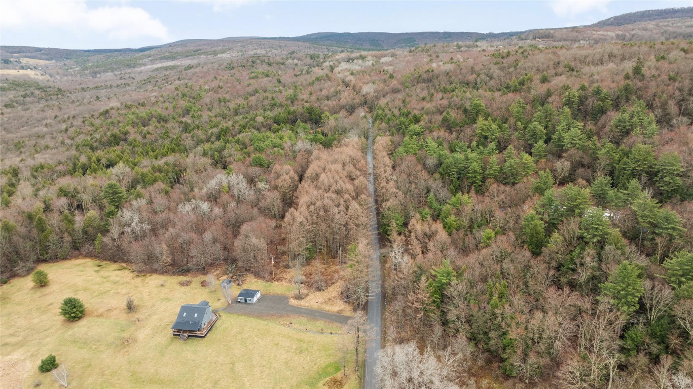 209 Perry Road, Harpursville, New York image 46