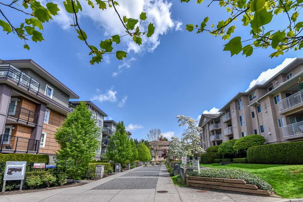 listing image 1109752358263594036