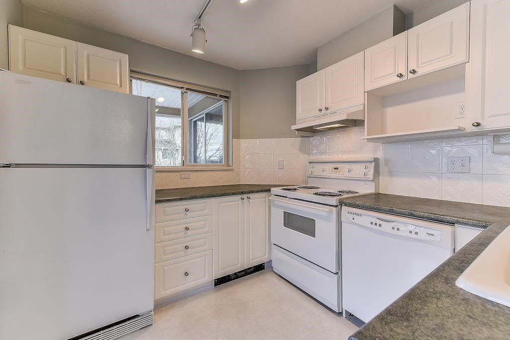 listing image 1104474103962529131