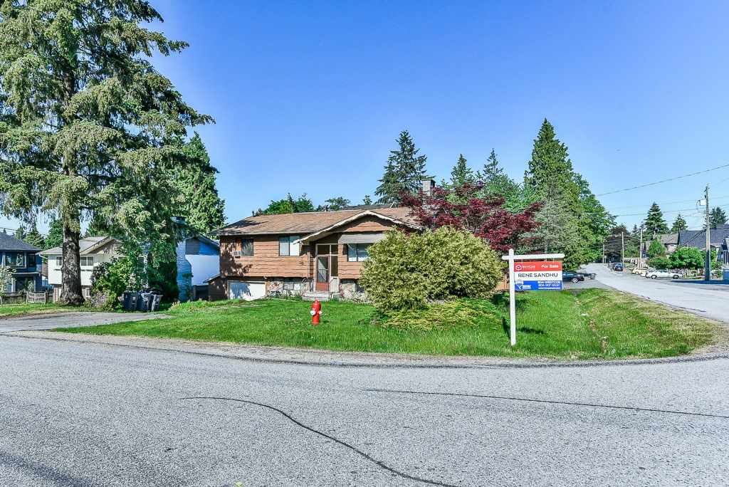listing image 1106045549002948476