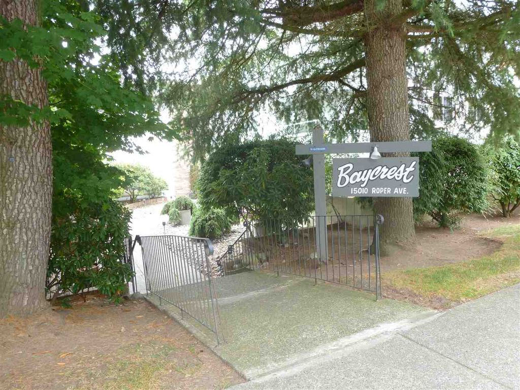 listing image 1101793899653923821