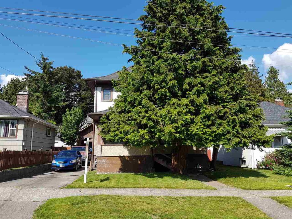listing image 1105812632468293051