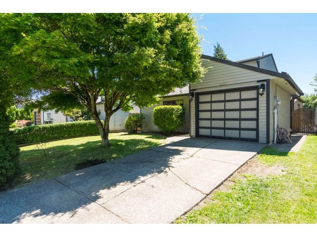 listing image 1102152991346452089