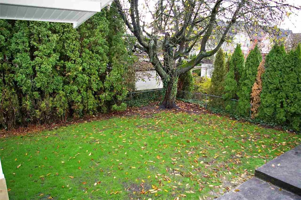 listing image 1107936659551576886