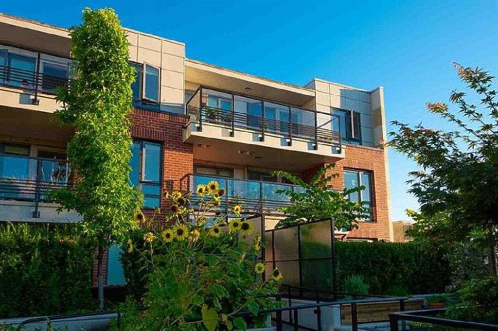 listing image 1104548069305594325