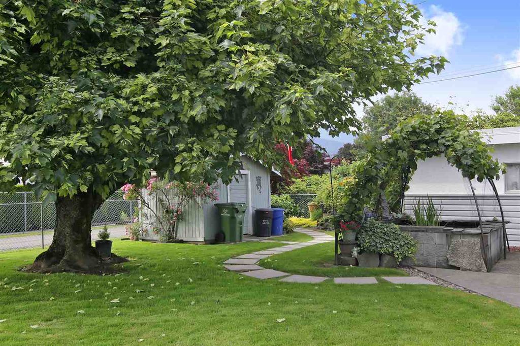 listing image 1109528279454116638