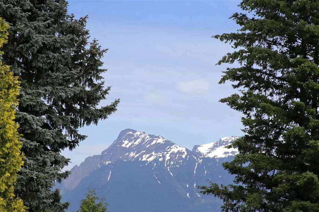 listing image 1109577524965838999