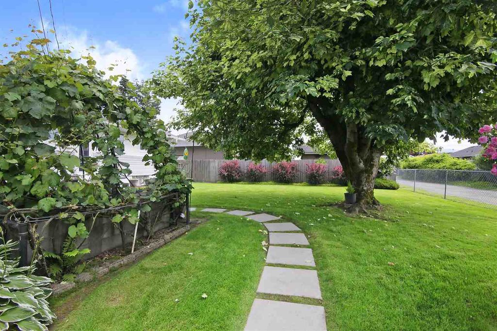 listing image 1106559300301501676