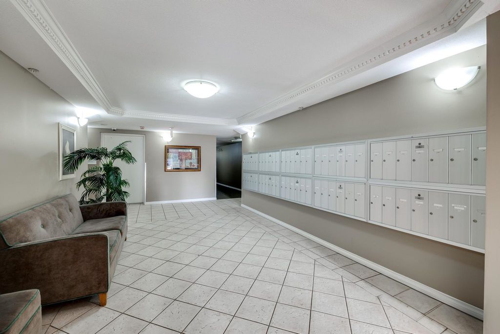 listing image 1109076553052902214
