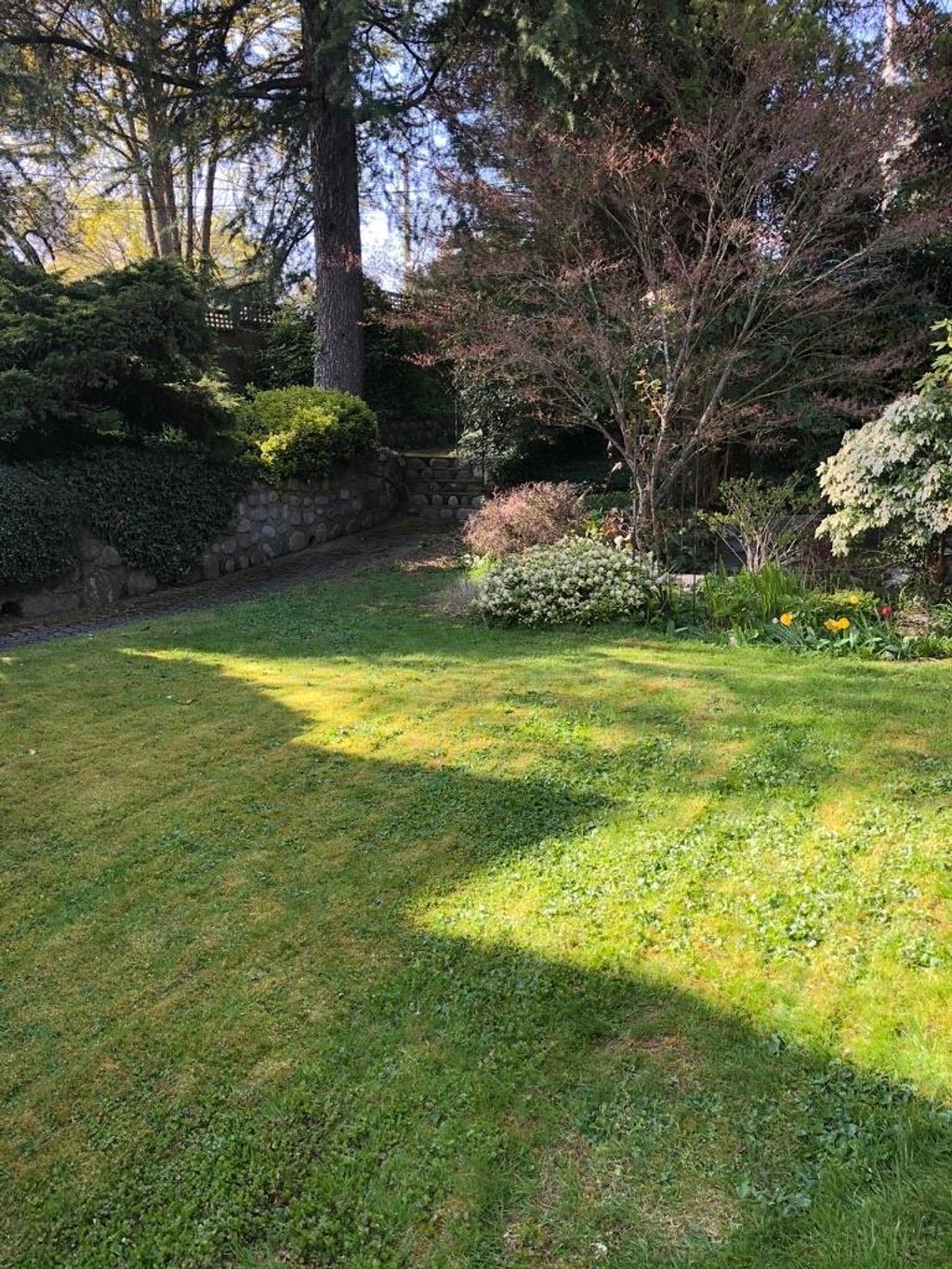 listing image 1102161421684443825
