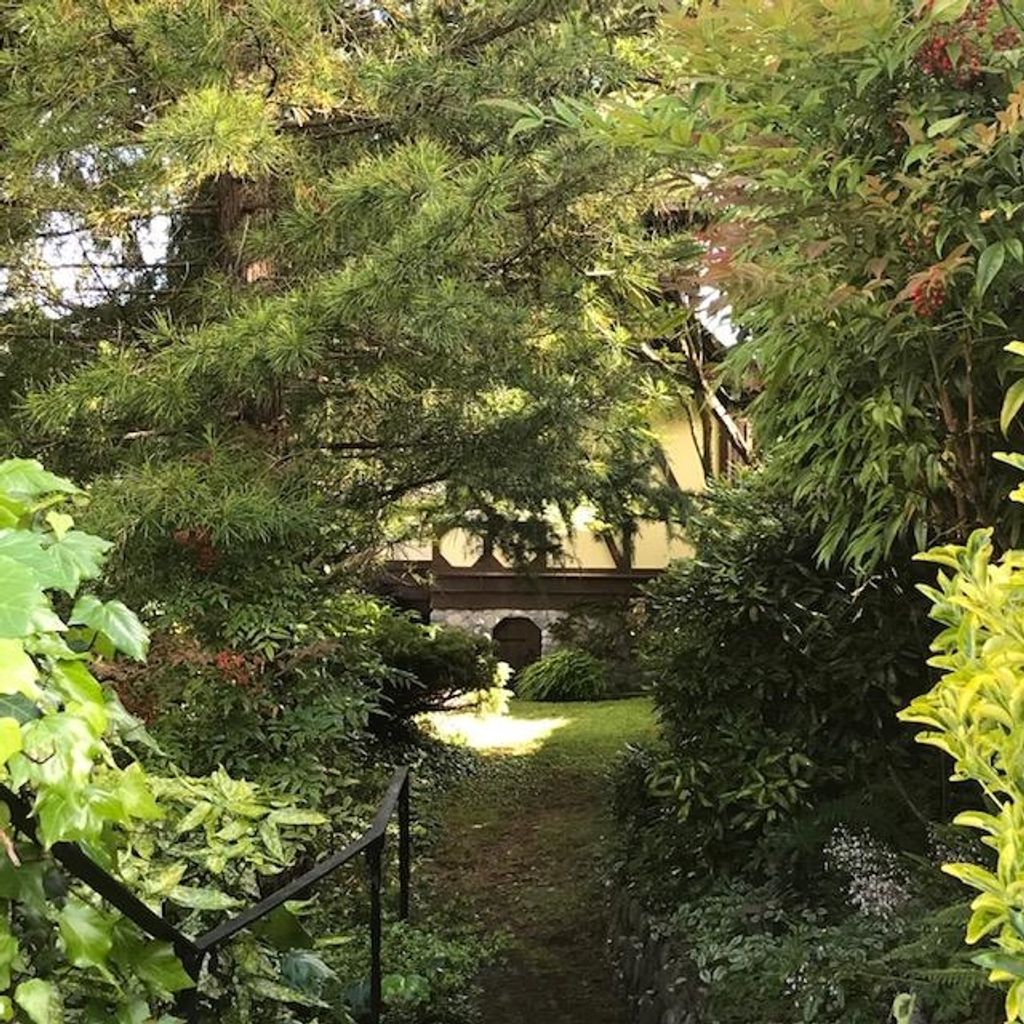 listing image 1109954995077800159