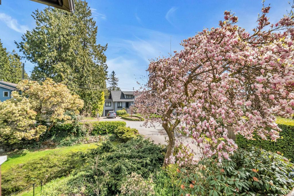 listing image 1102631527754728248