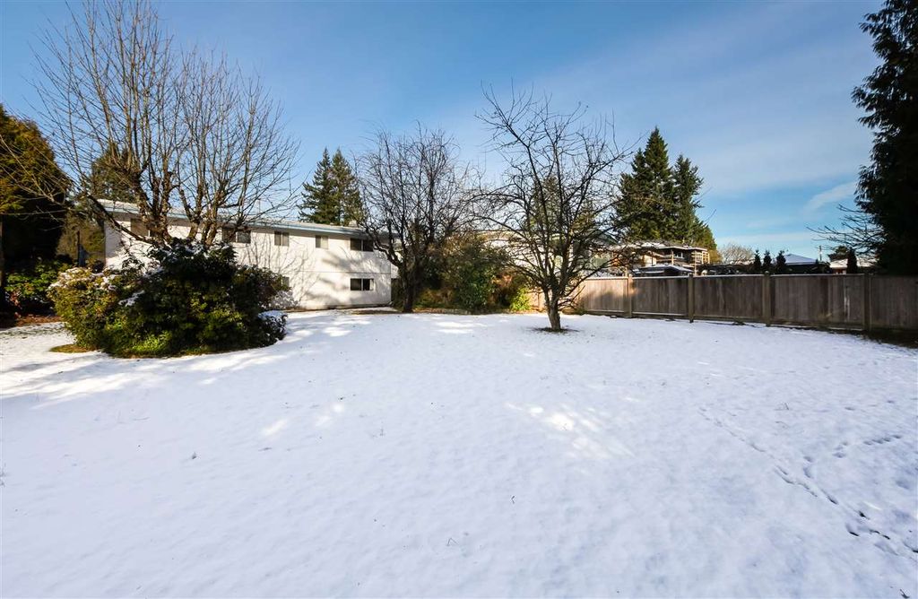 listing image 1103099226212380364