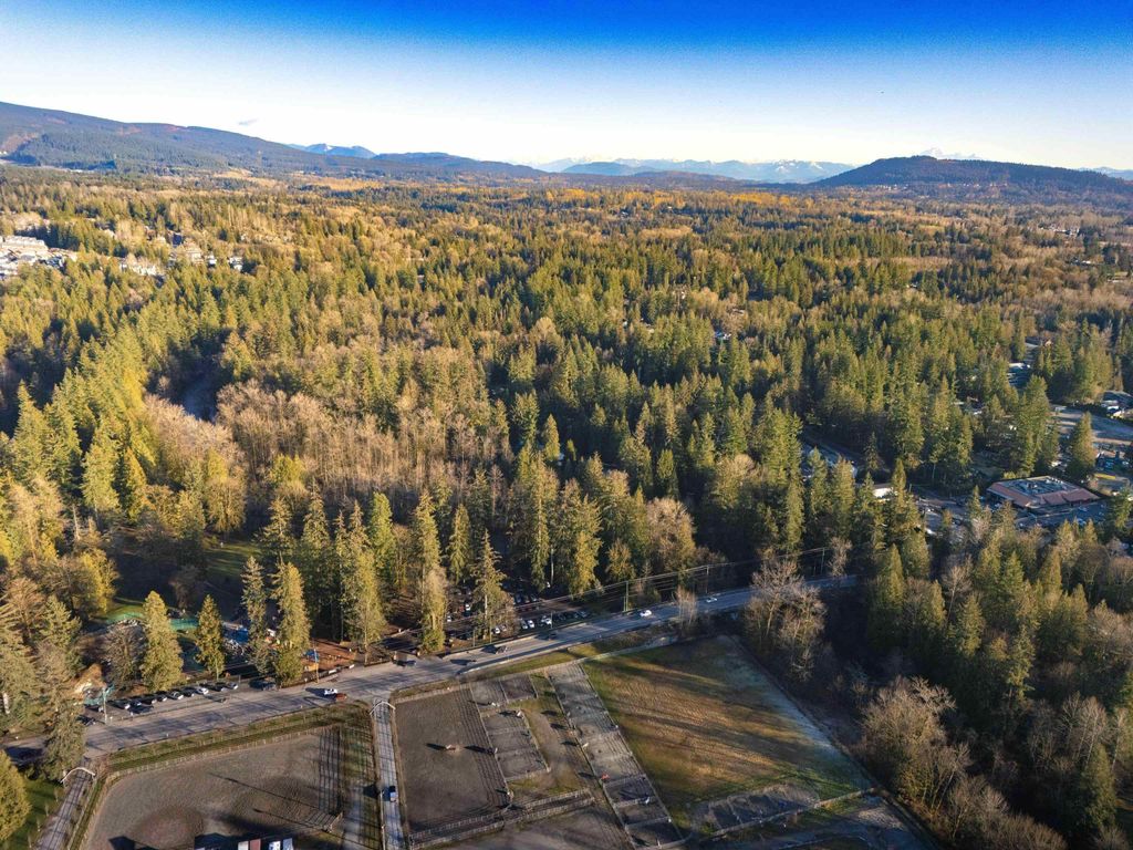 listing image 1109387469004521621