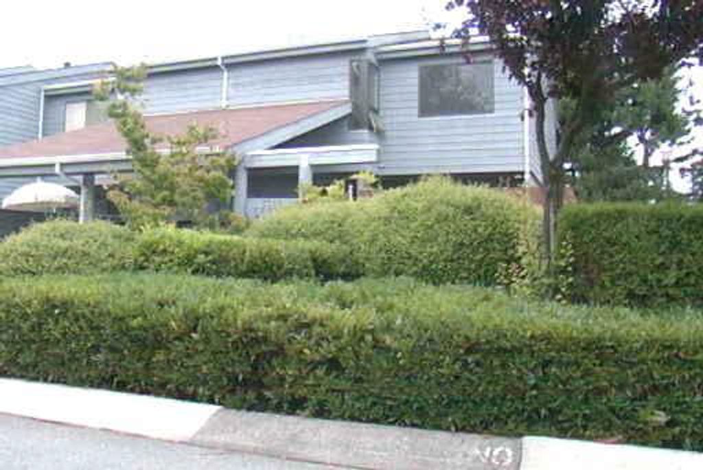 listing image 1100293889267952793