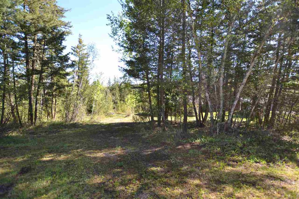 listing image 1108263703543073032