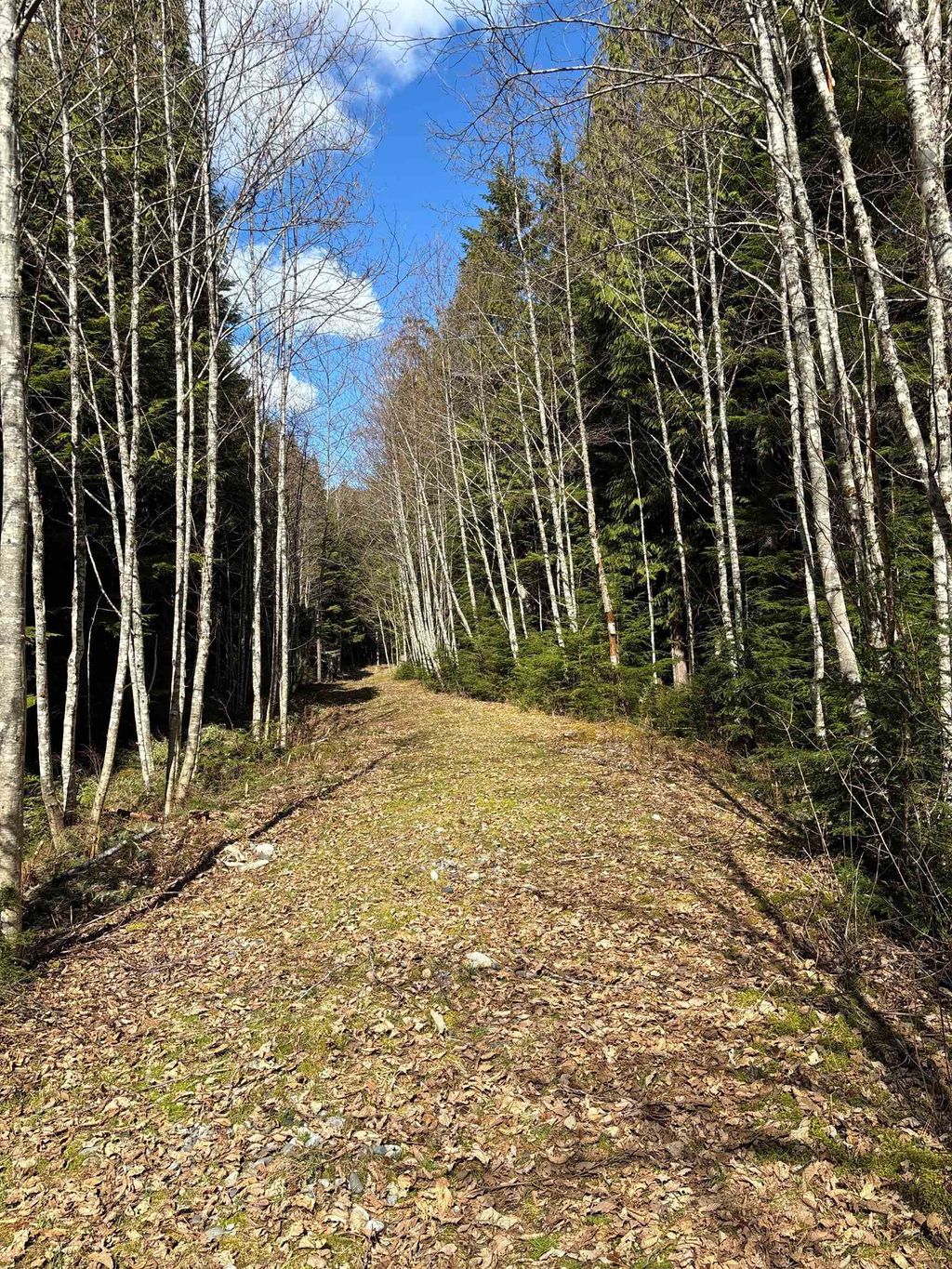 listing image 1101685262278619445