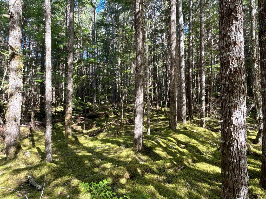 listing image 1109805498966935835