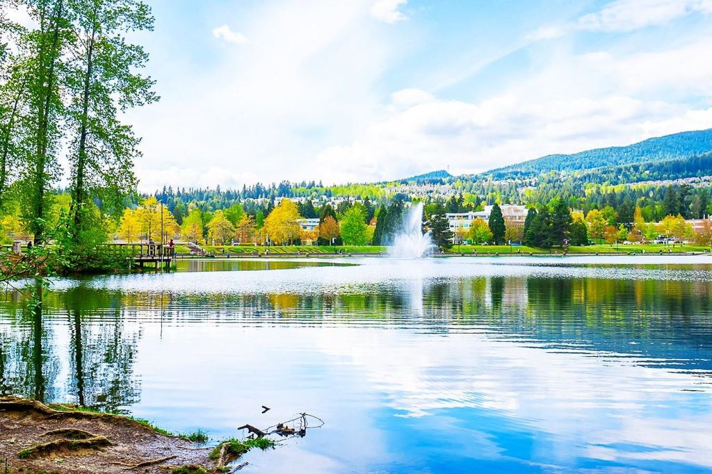 listing image 1100074179310987259