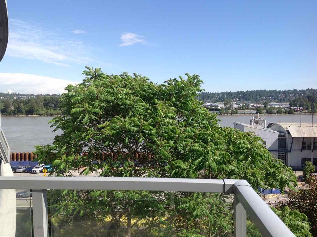 listing image 1101623238114019017