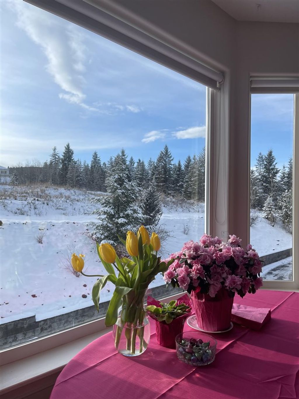 listing image 1109022979479910987