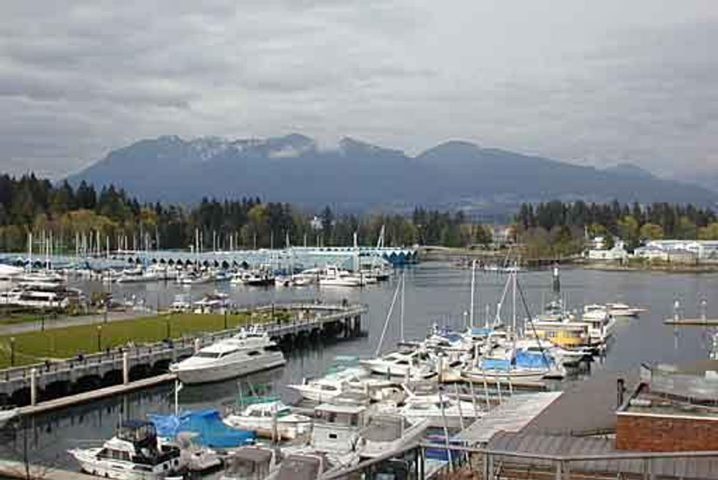 listing image 1102813002235837738