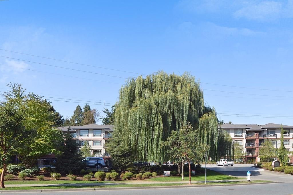 listing image 1108071203559732887