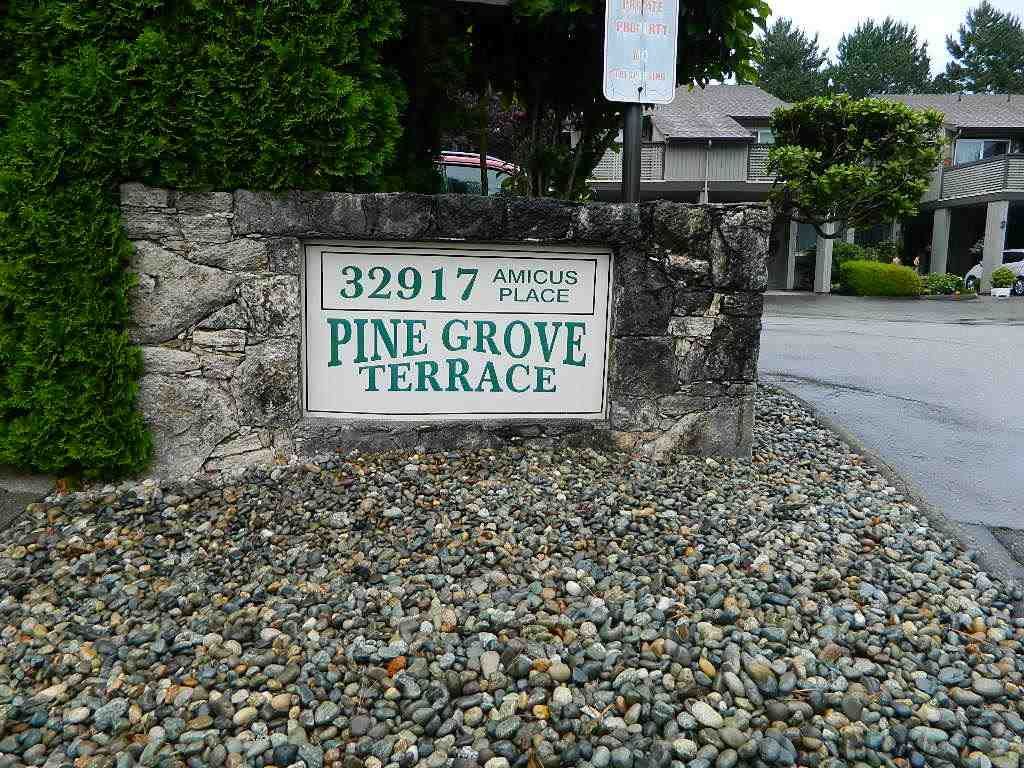 listing image 1100234524559009591