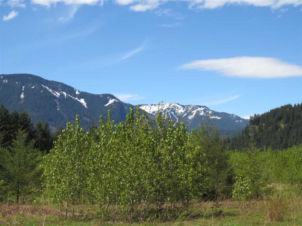listing image 1103148924387683115