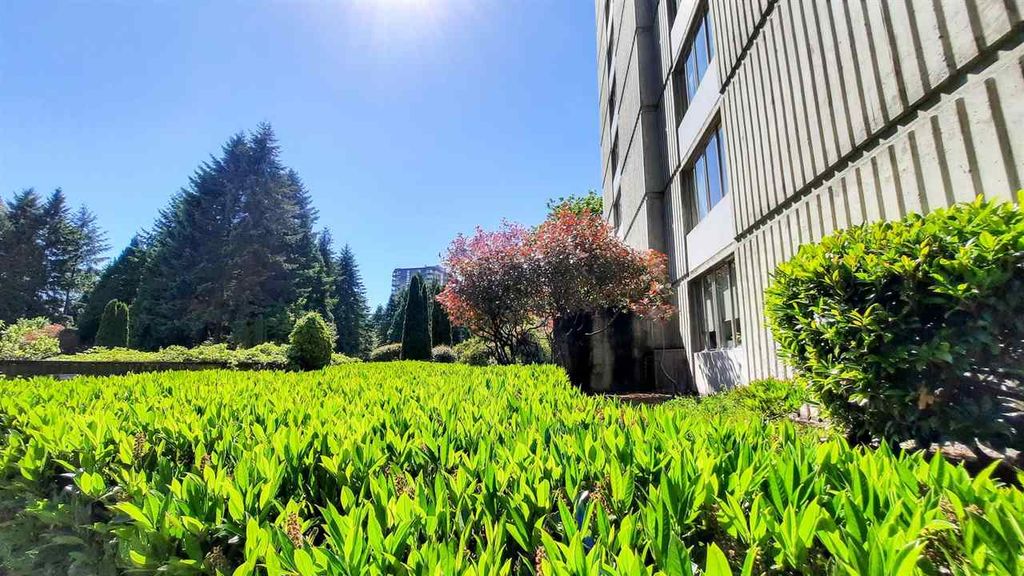listing image 1105015013155032751