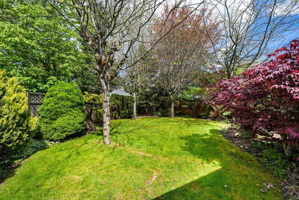 listing image 1104335402566601259