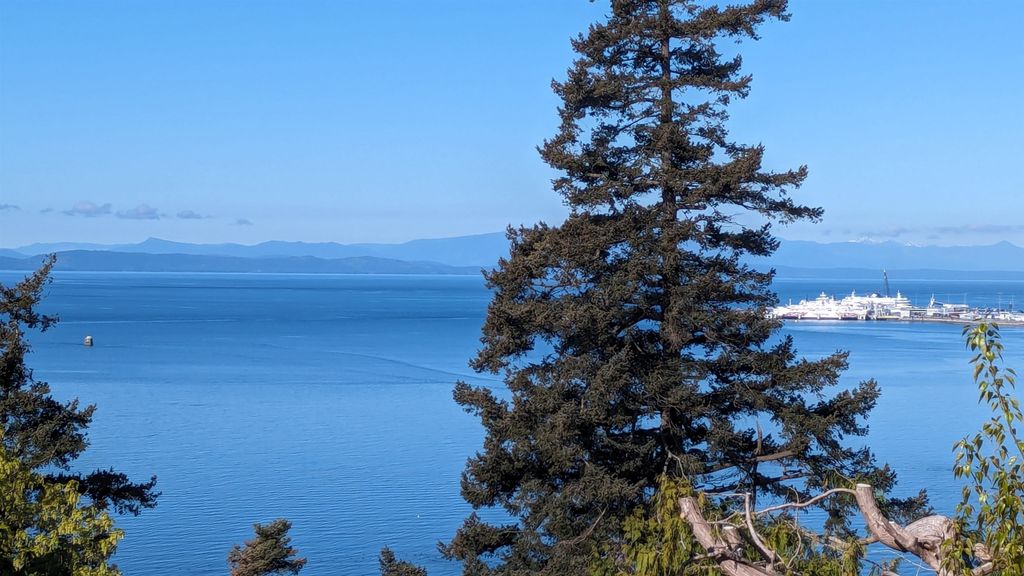 listing image 1101437050137239740