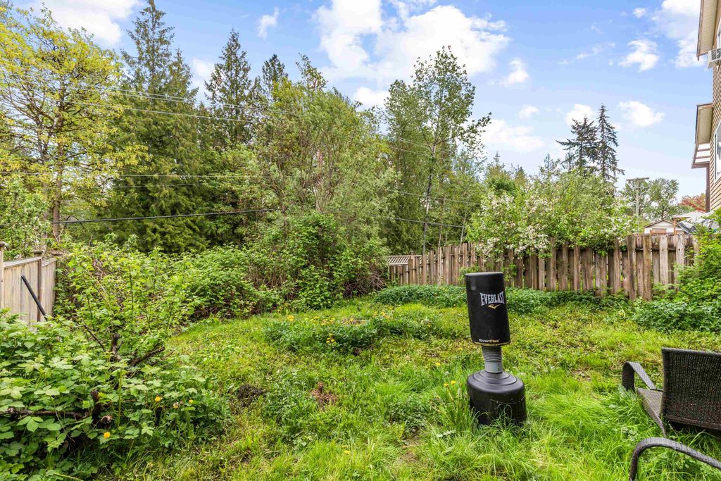 listing image 1100385806561409226