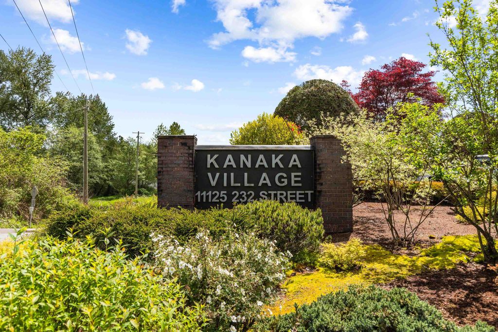 listing image 1104542853646818686