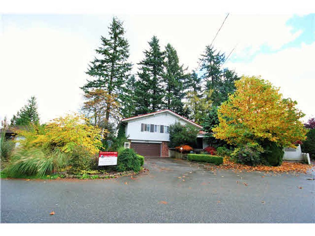 listing image 1100158255105589971