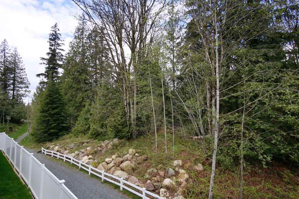 listing image 1102780630276757687