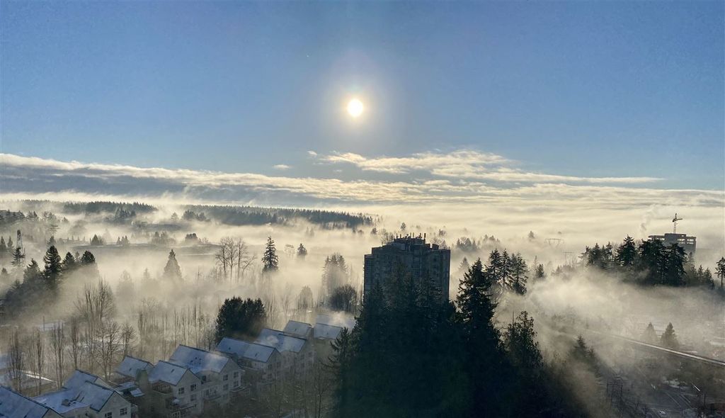 listing image 1104488796680398097